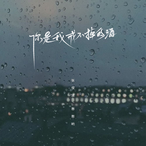你是我戒不掉的酒