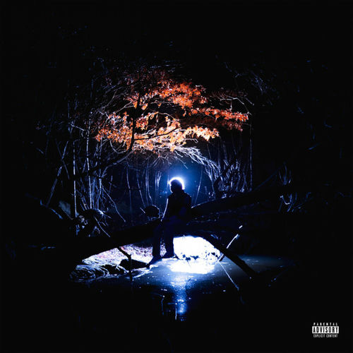 Reverie cover