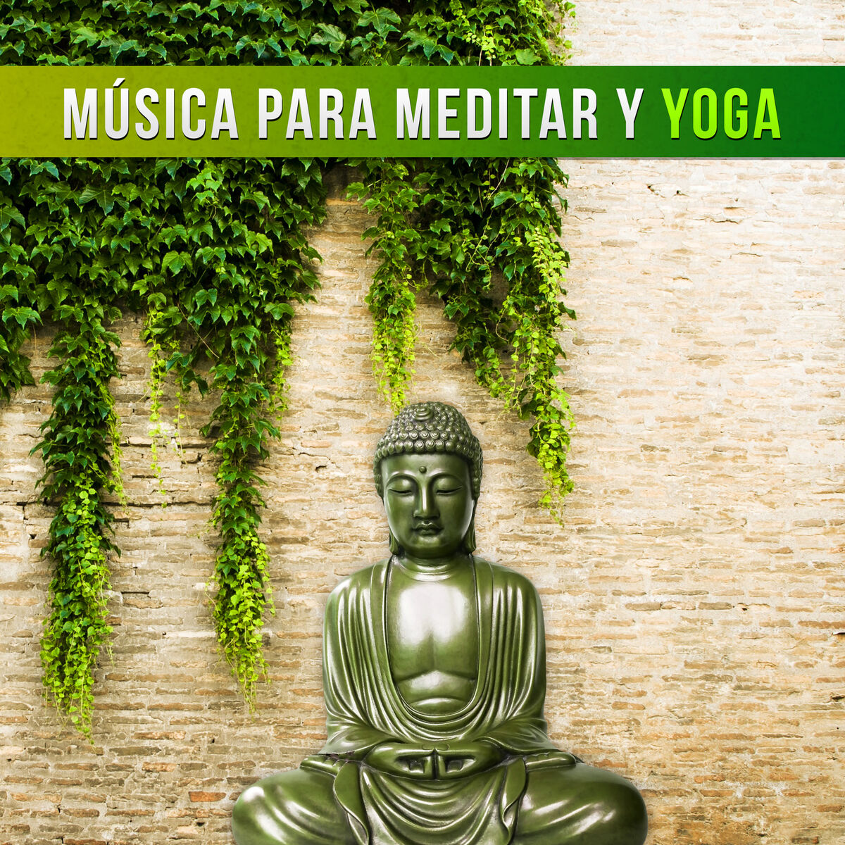 Album cover of Música para Meditar y Yoga: Sonidos para Relajación y Bienestar, Dormir Profundamente, Ejercicios de Meditación y Pensamiento Posi
