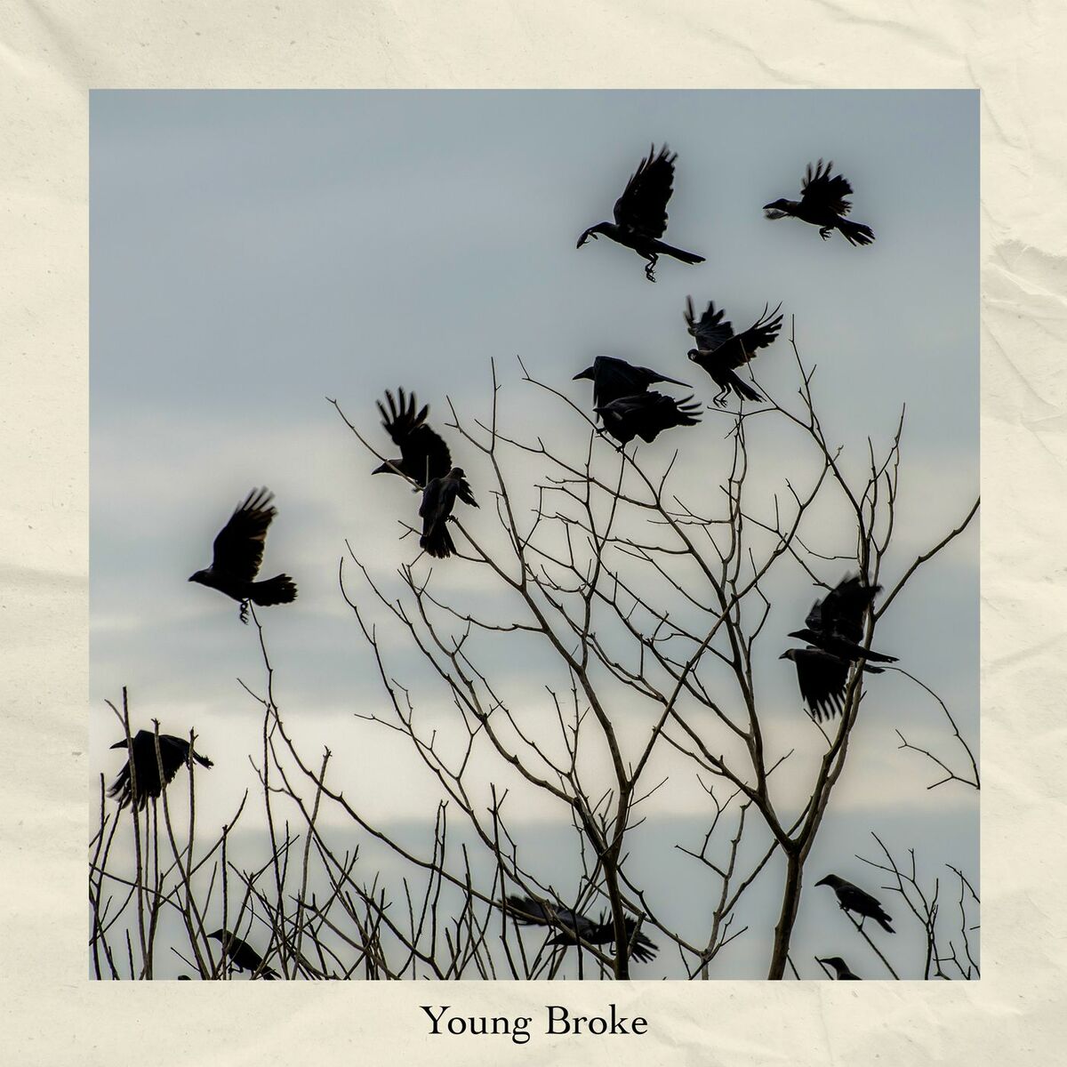 Album cover of Young Broke