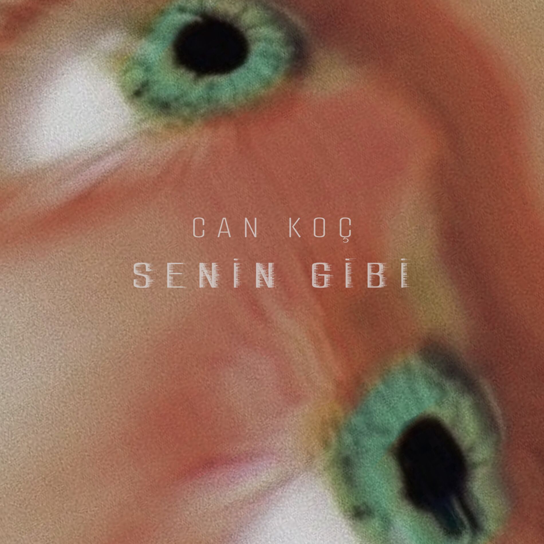 Album cover of Senin Gibi
