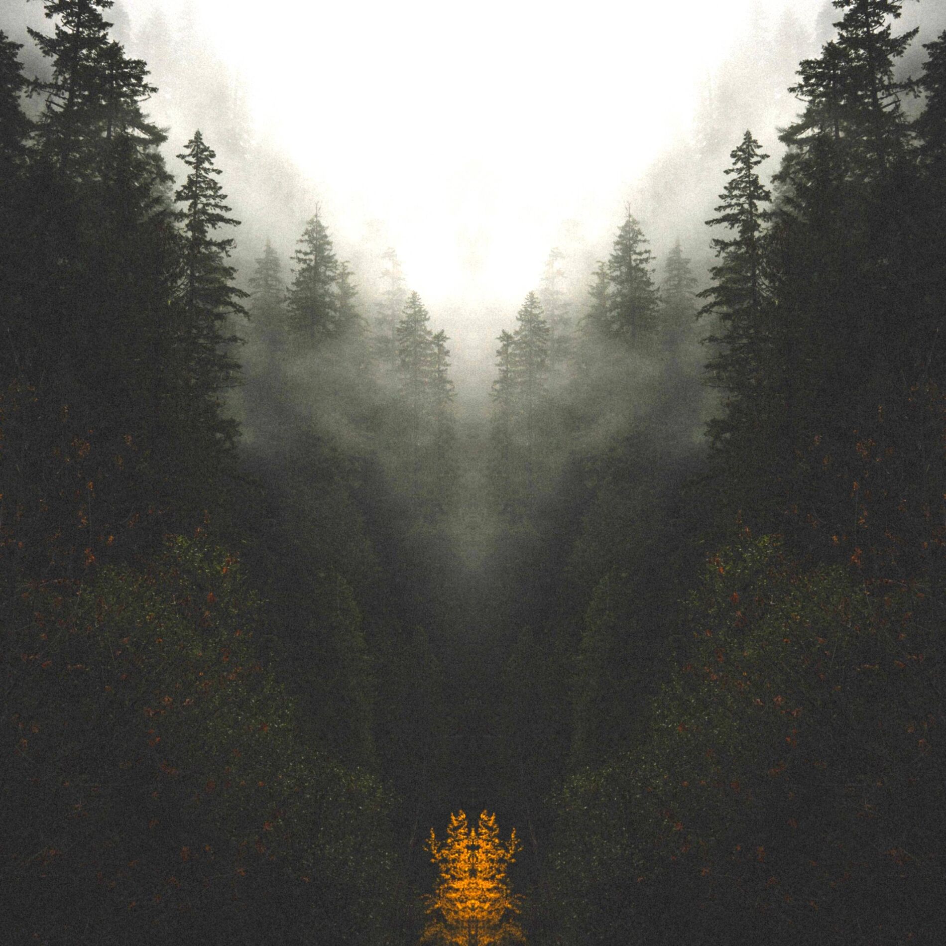 Album cover of Above the Water