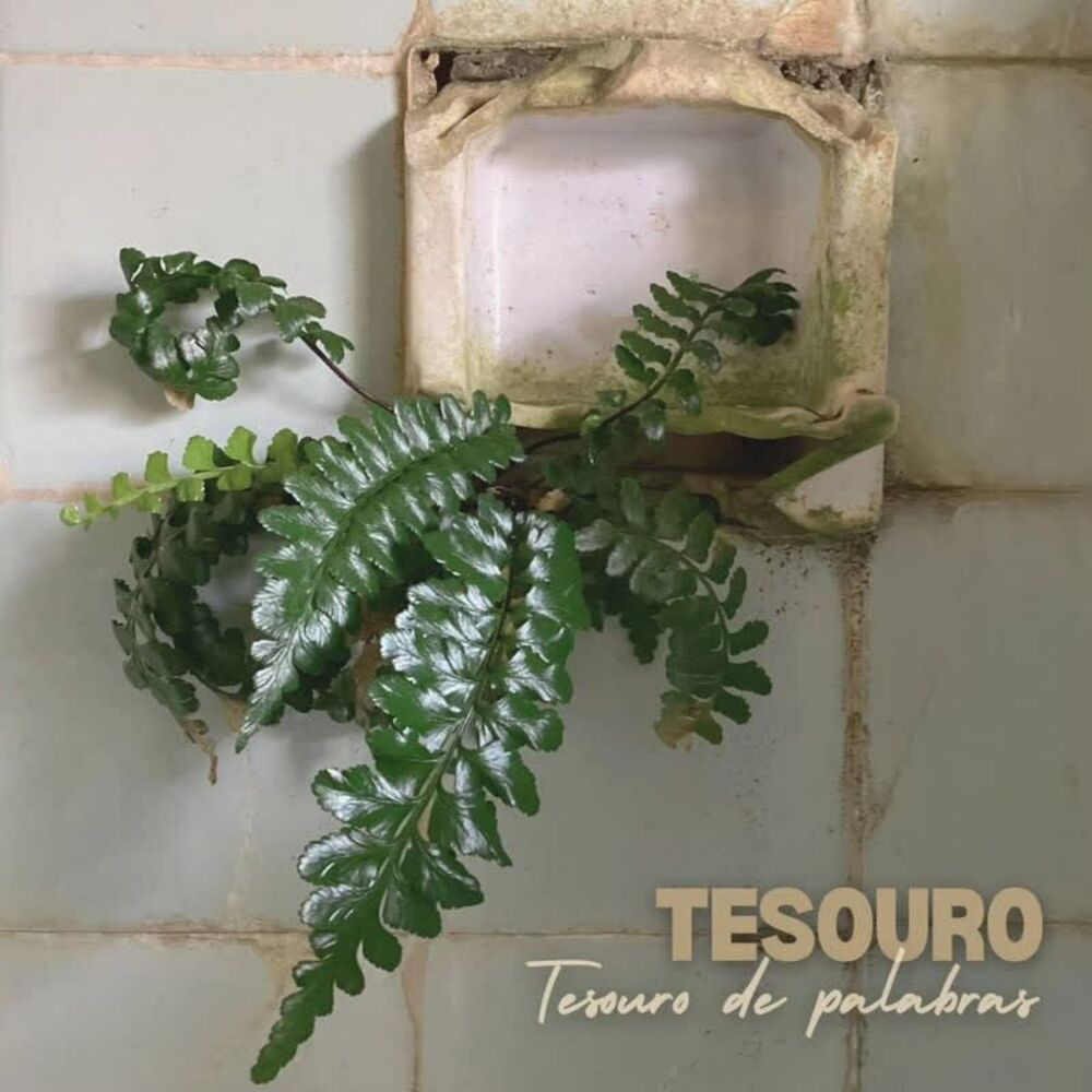 Picture of Tesouro de palabras