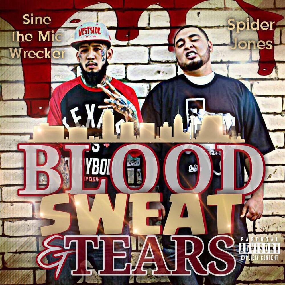 Picture of Blood Sweat n Tears