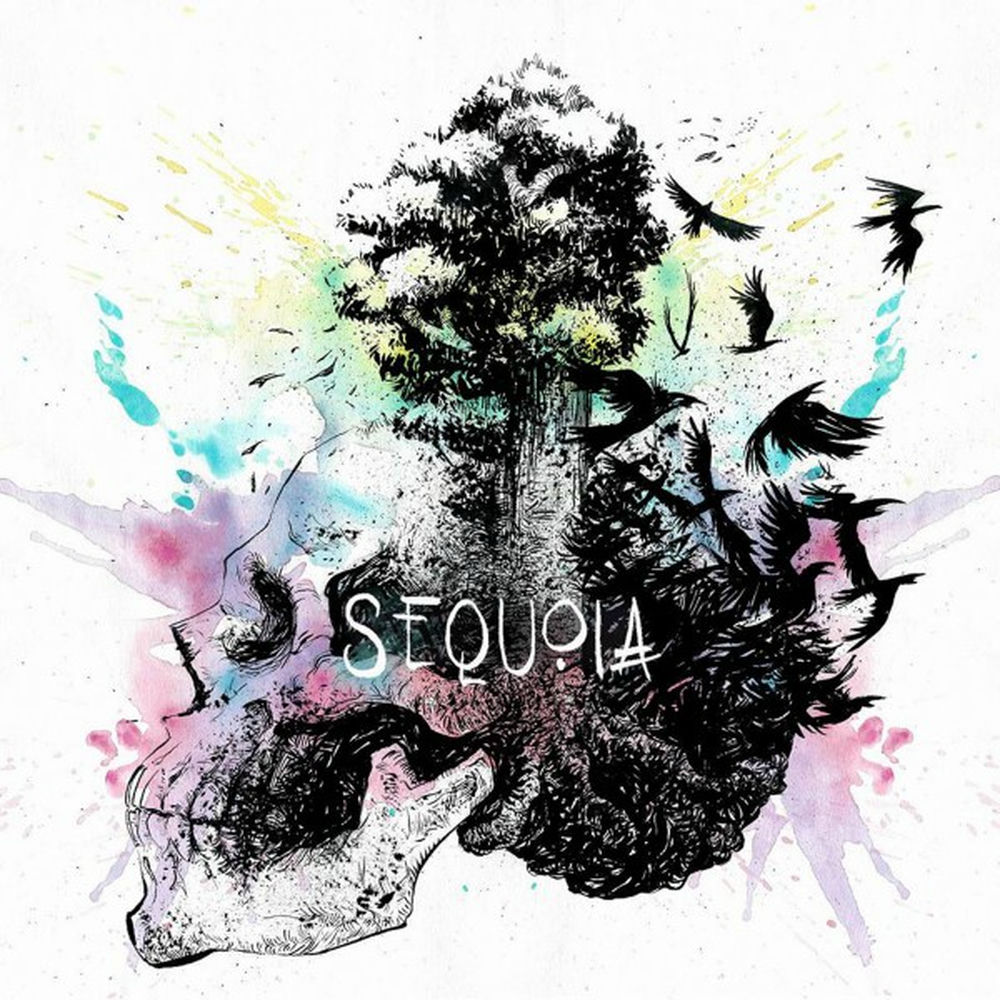 Picture of Sequoia