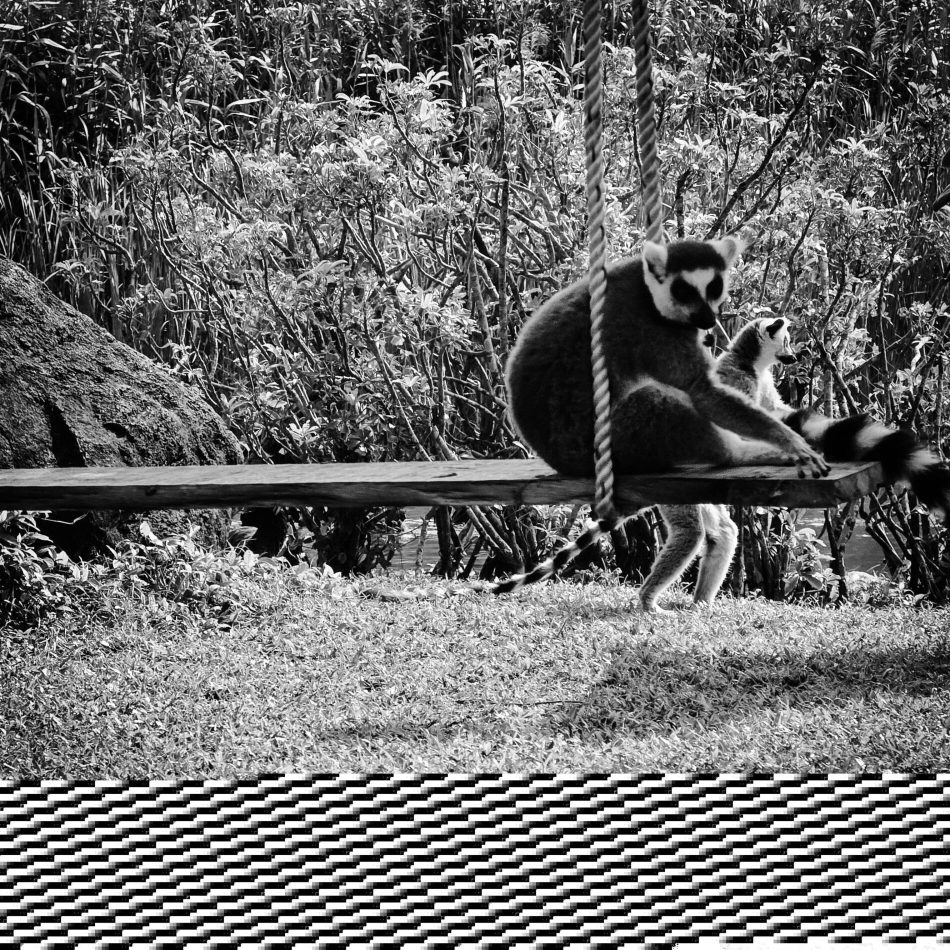 Album cover of Breaking News