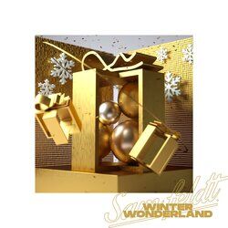 Cover of Winter Wonderland