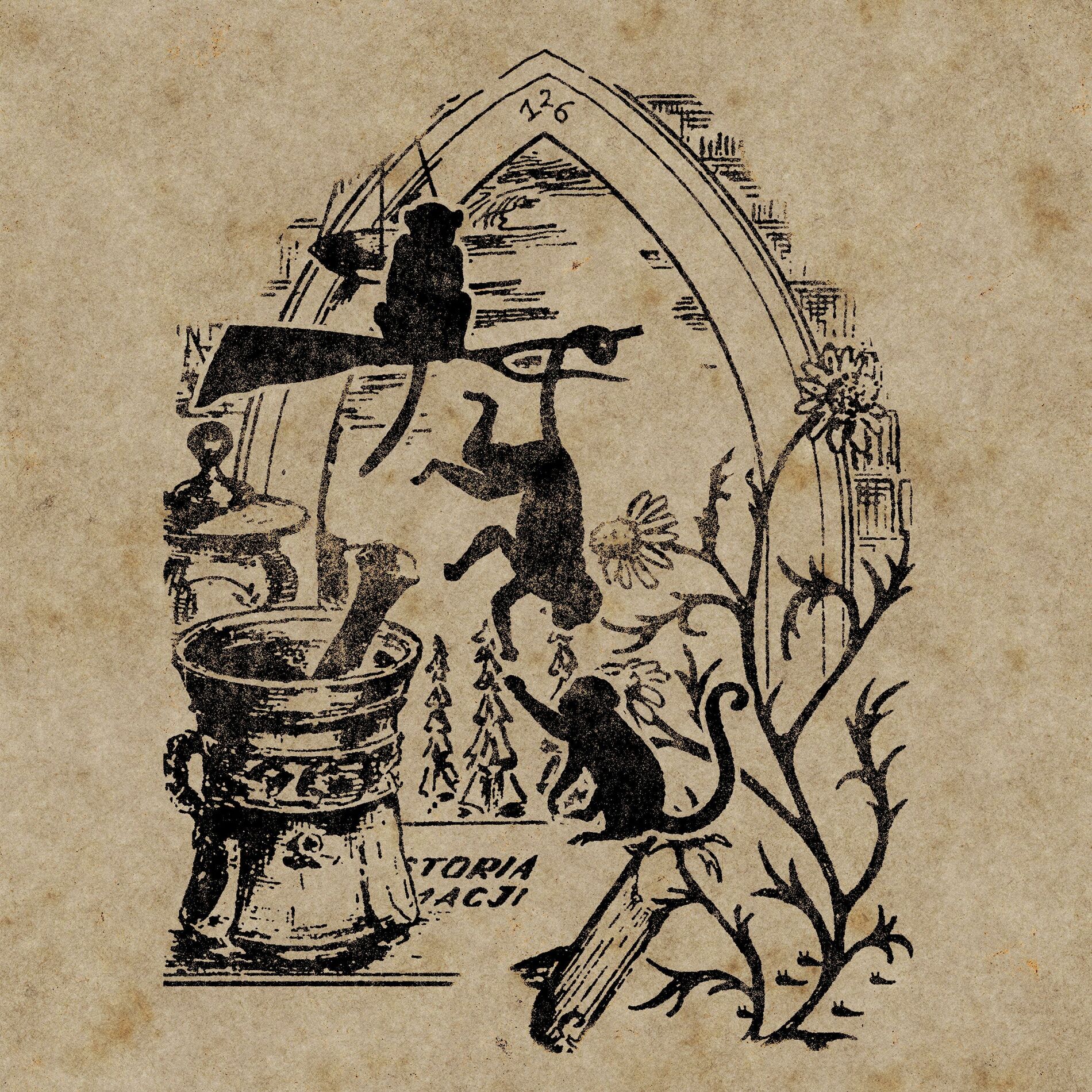 Album cover of Nœuds