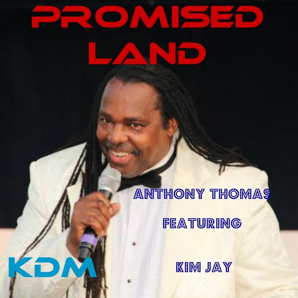 Picture of Promised Land 2013