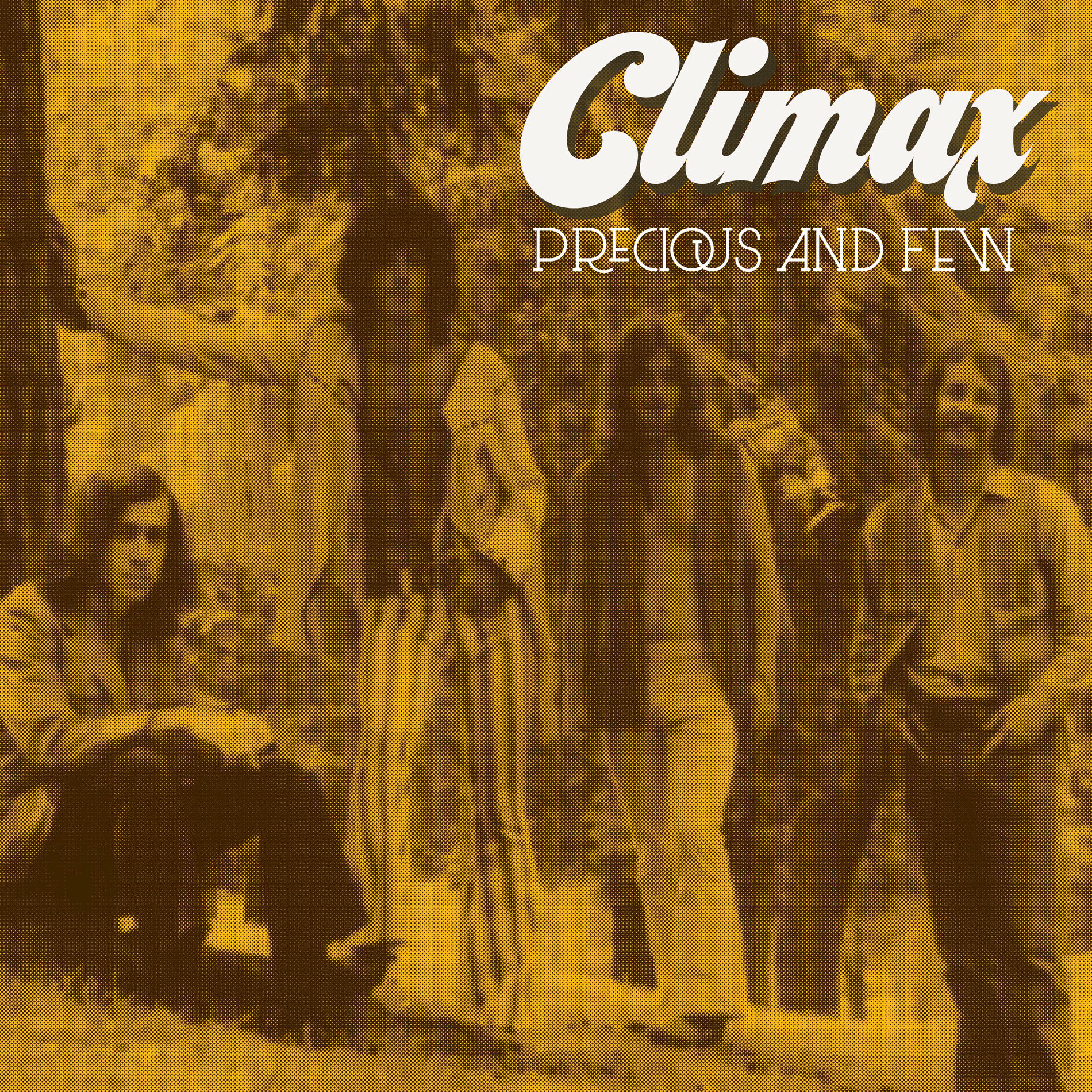 Album cover of Precious and Few