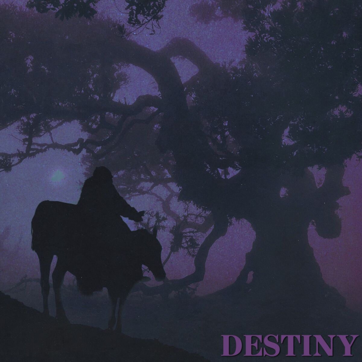Album cover of Destiny