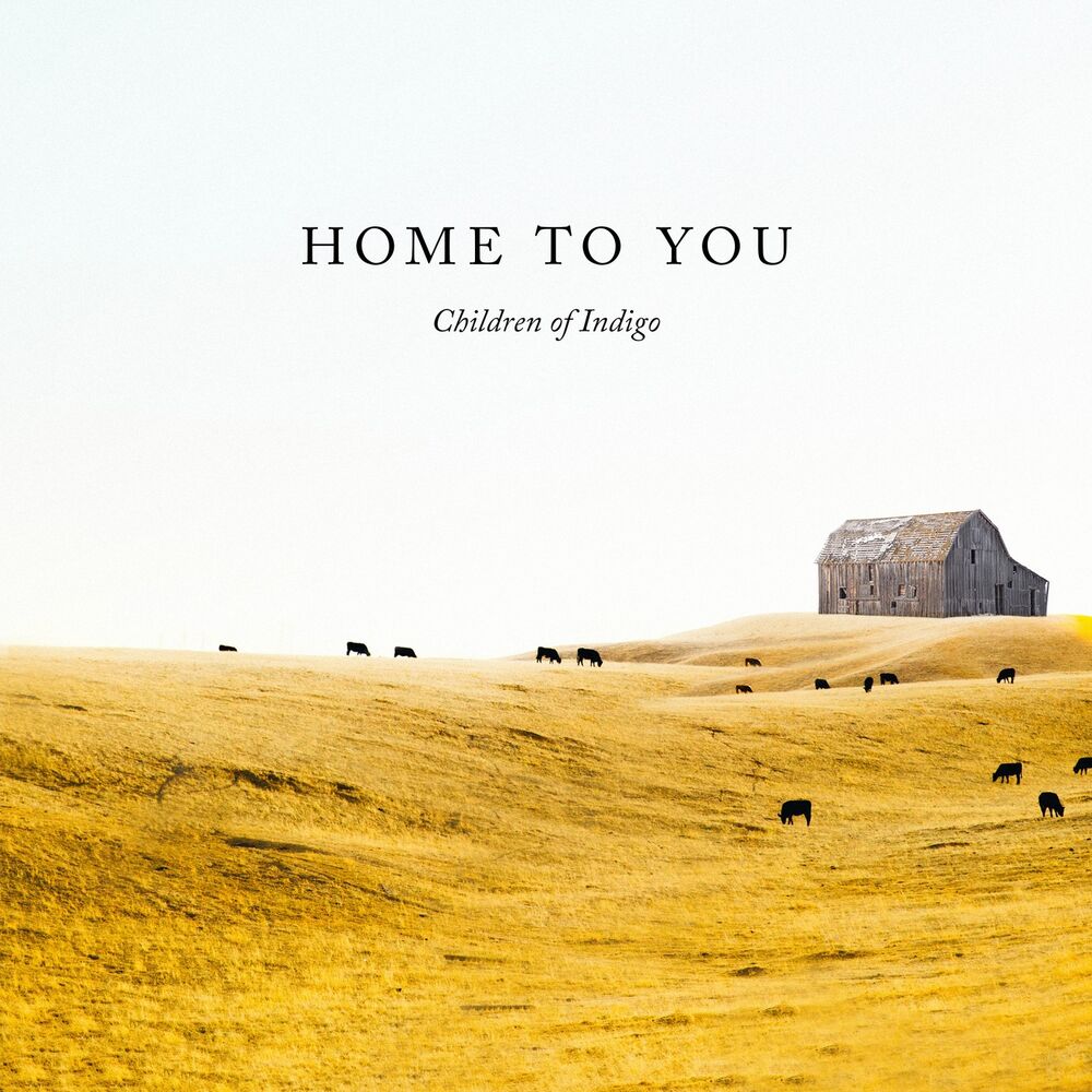 Picture of Home to You