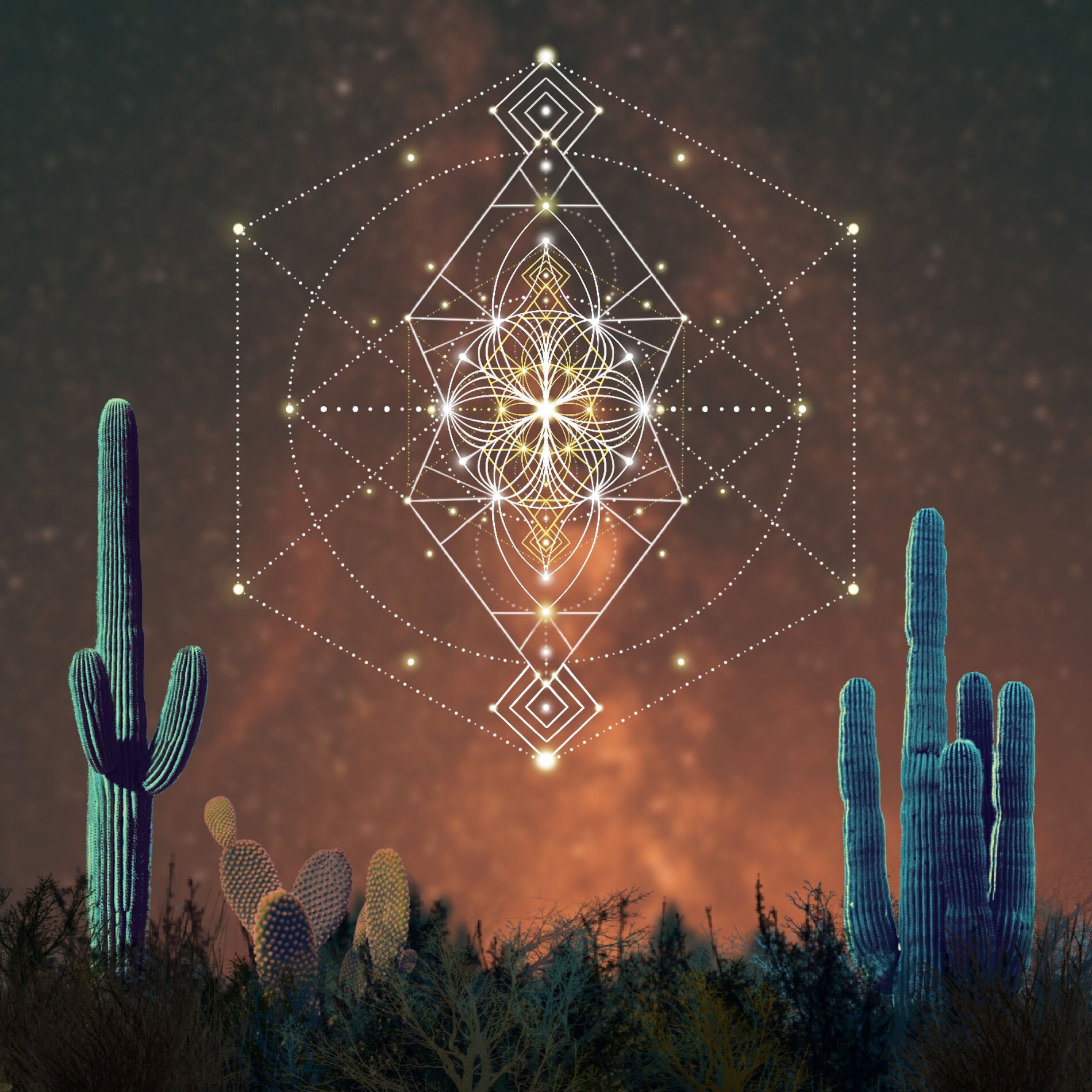 Album cover of Sueño Desierto en un Camino Estrellado