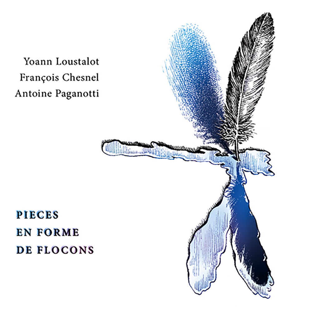 Picture of Pièces en forme de flocons