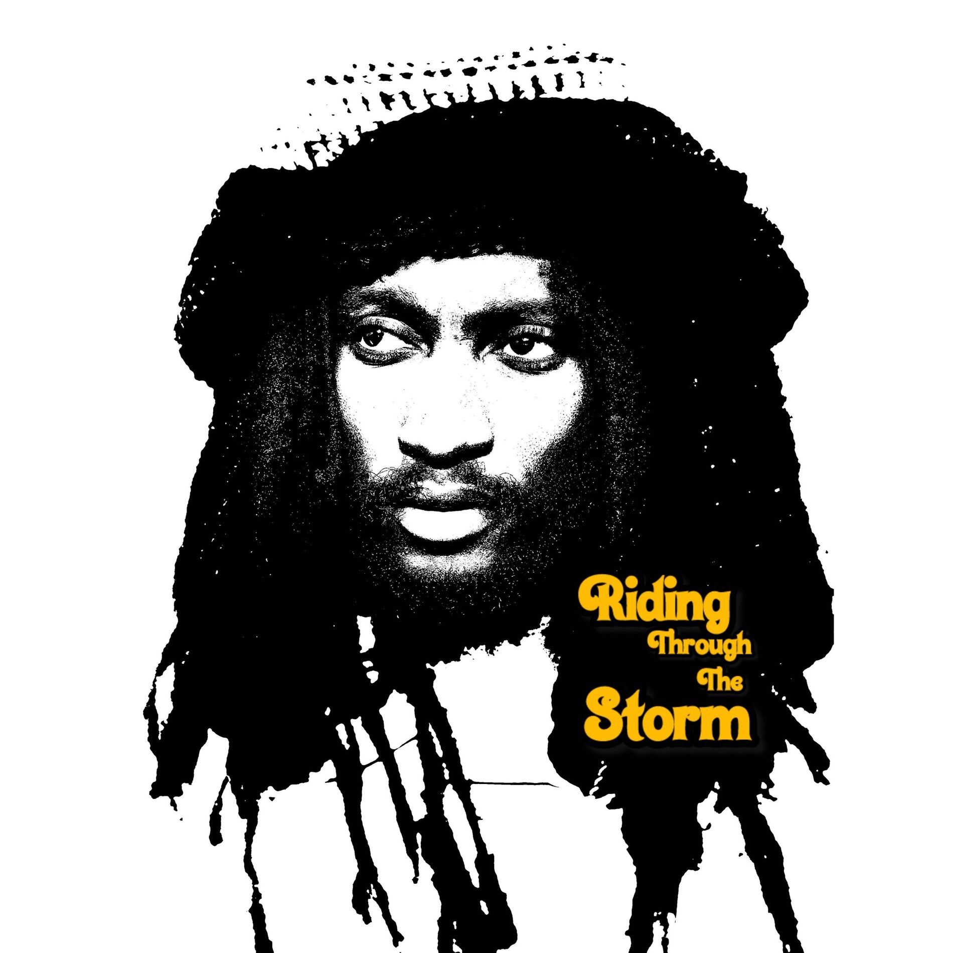 Album cover of Riding Through The Storm