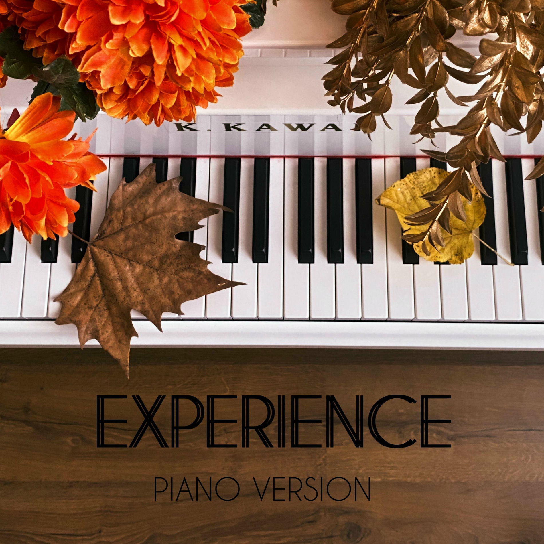 Album cover of Experience (Piano Solo)
