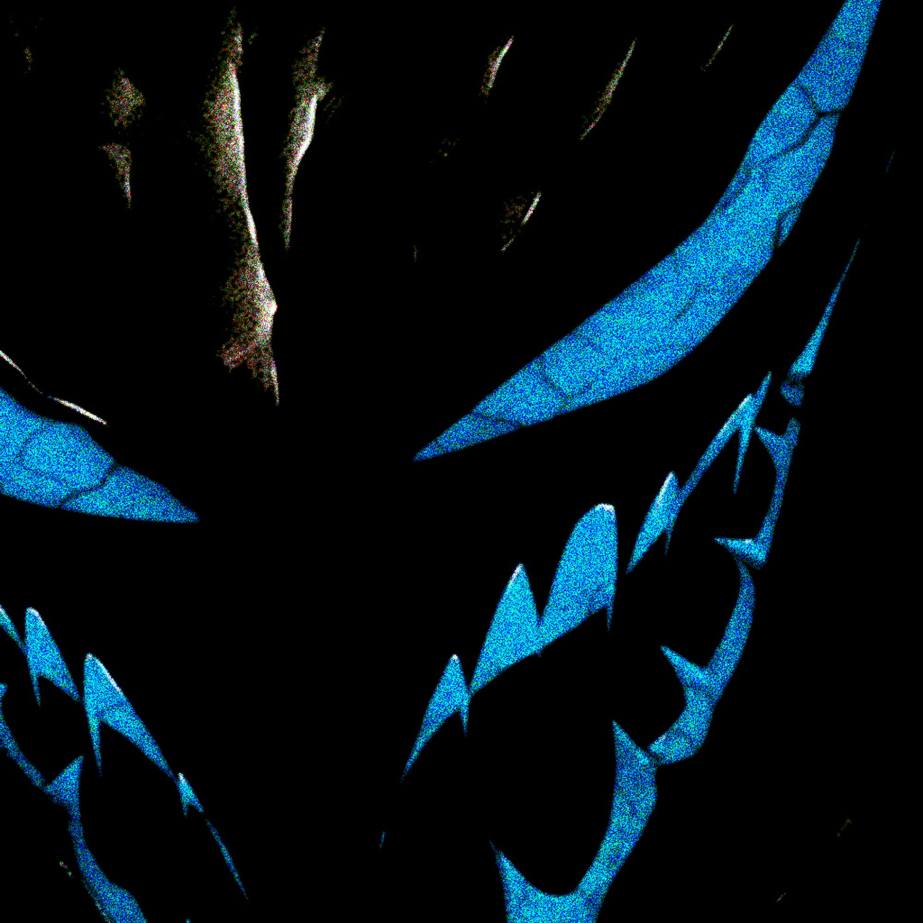 Album cover of BATRACOTOXINA (Slowed + Reverb)