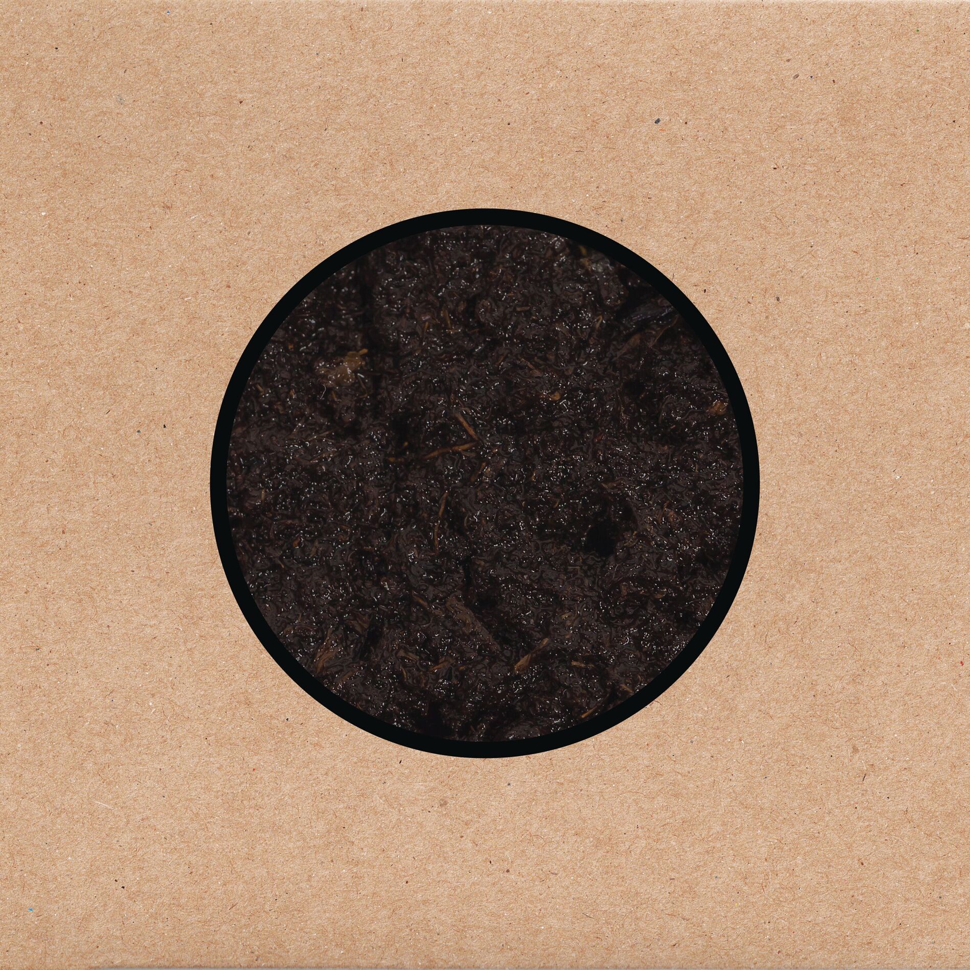 Album cover of I Am a Tower