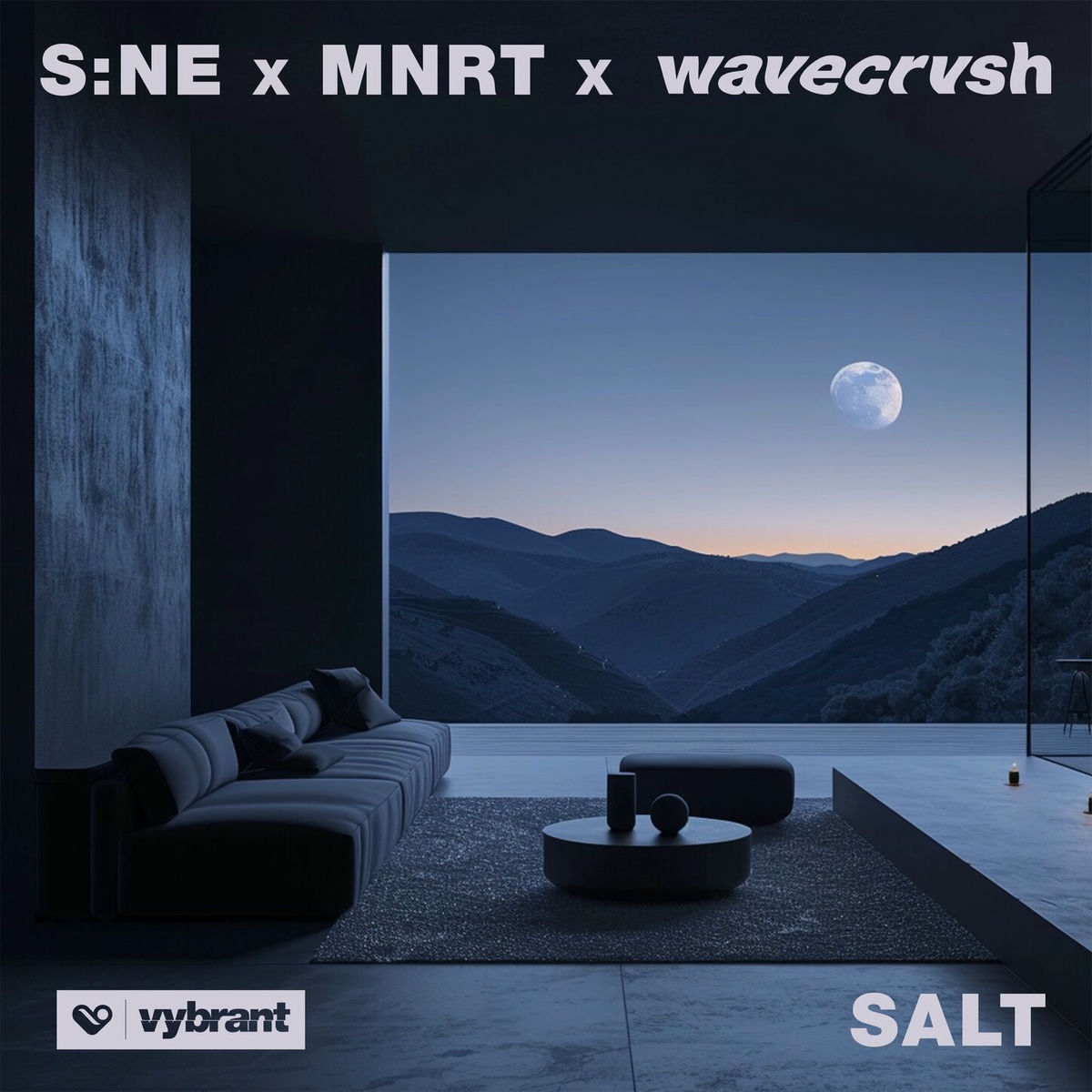 Album cover of Salt