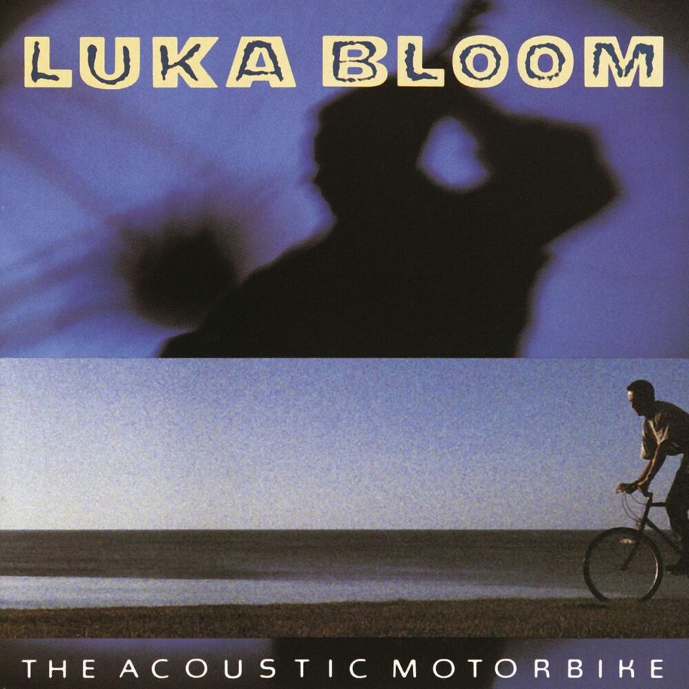 Picture of The Acoustic Motorbike