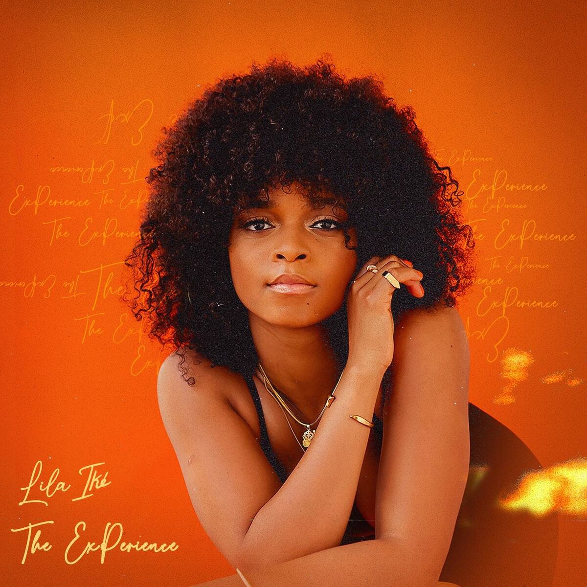 Album cover of The ExPerience
