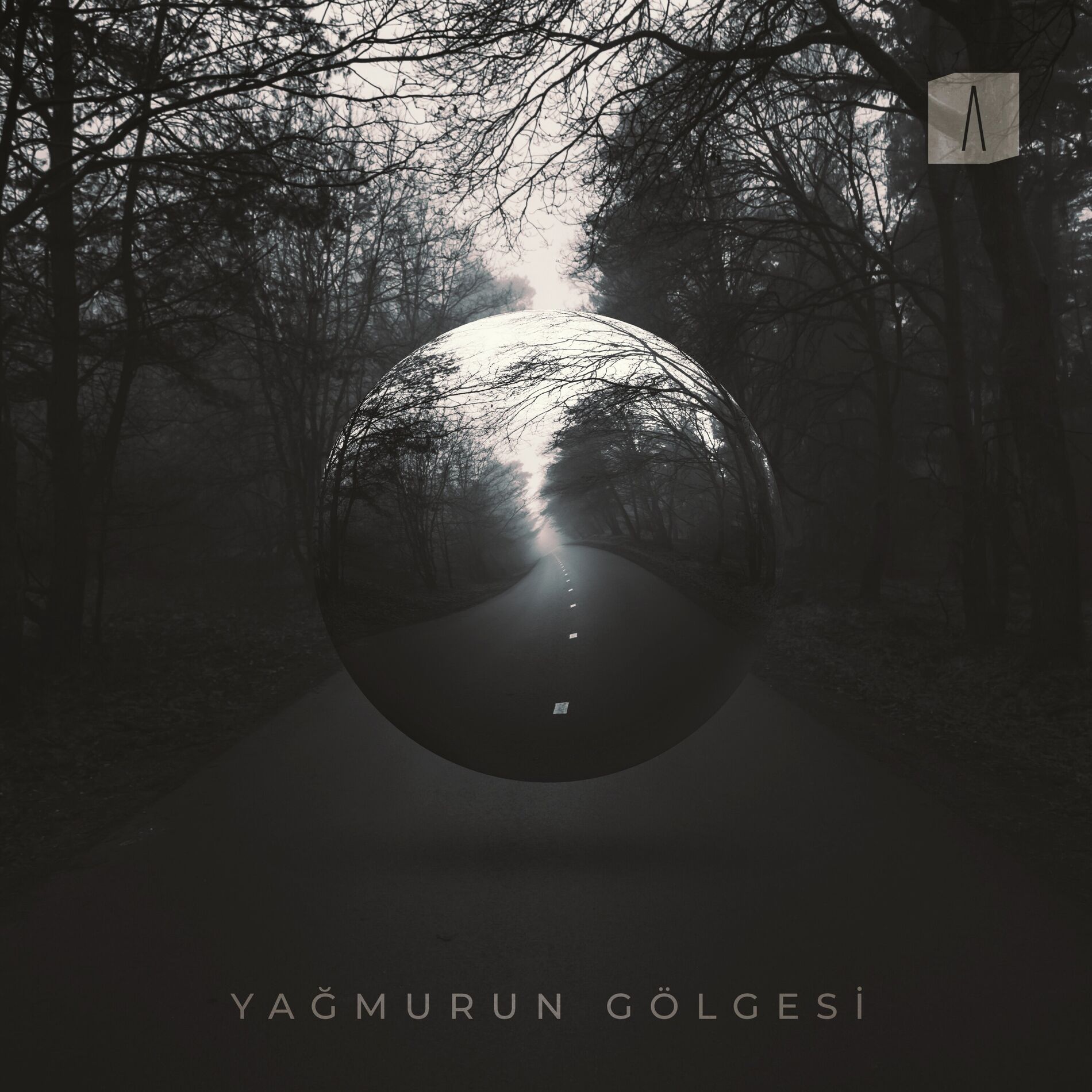Album cover of Yağmurun Gölgesi