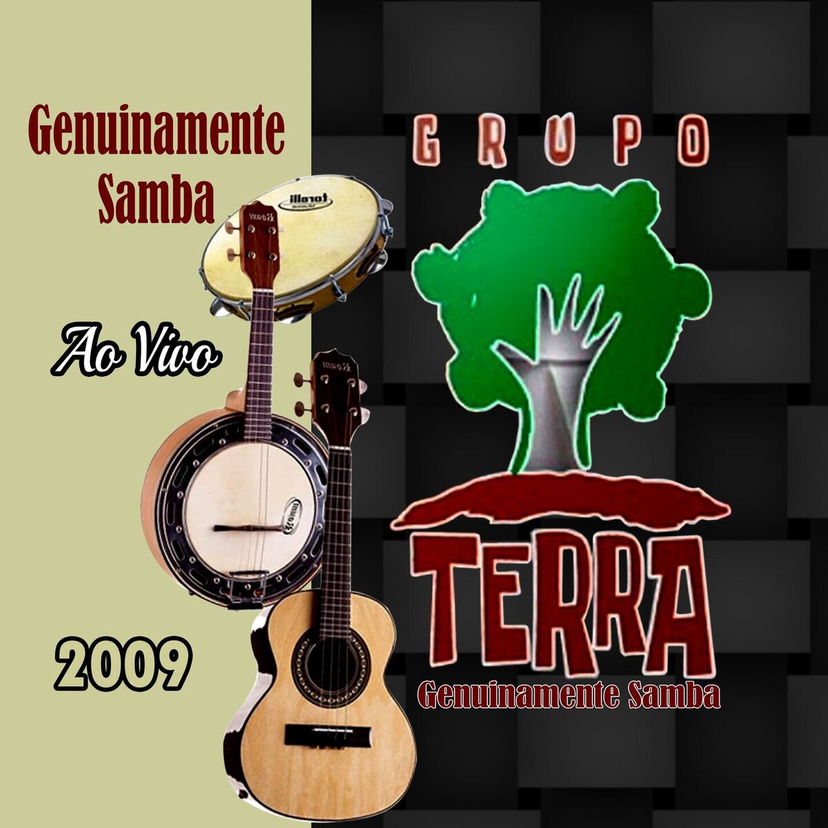 Album cover of Genuinamente Samba Ao Vivo - 2009