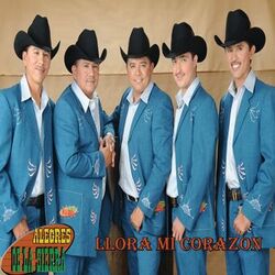Cover of Llora Mi Corazon