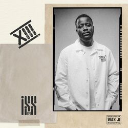 Cover of 13