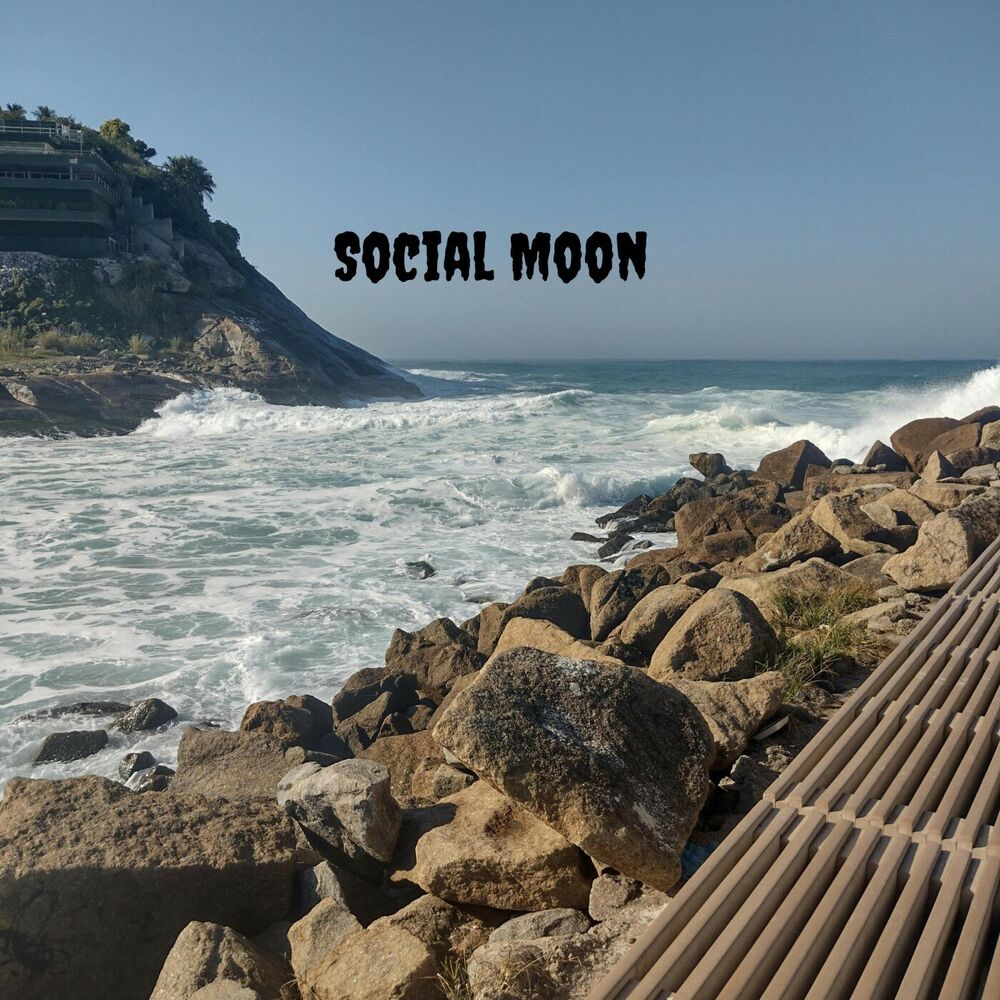 Picture of Social Moon