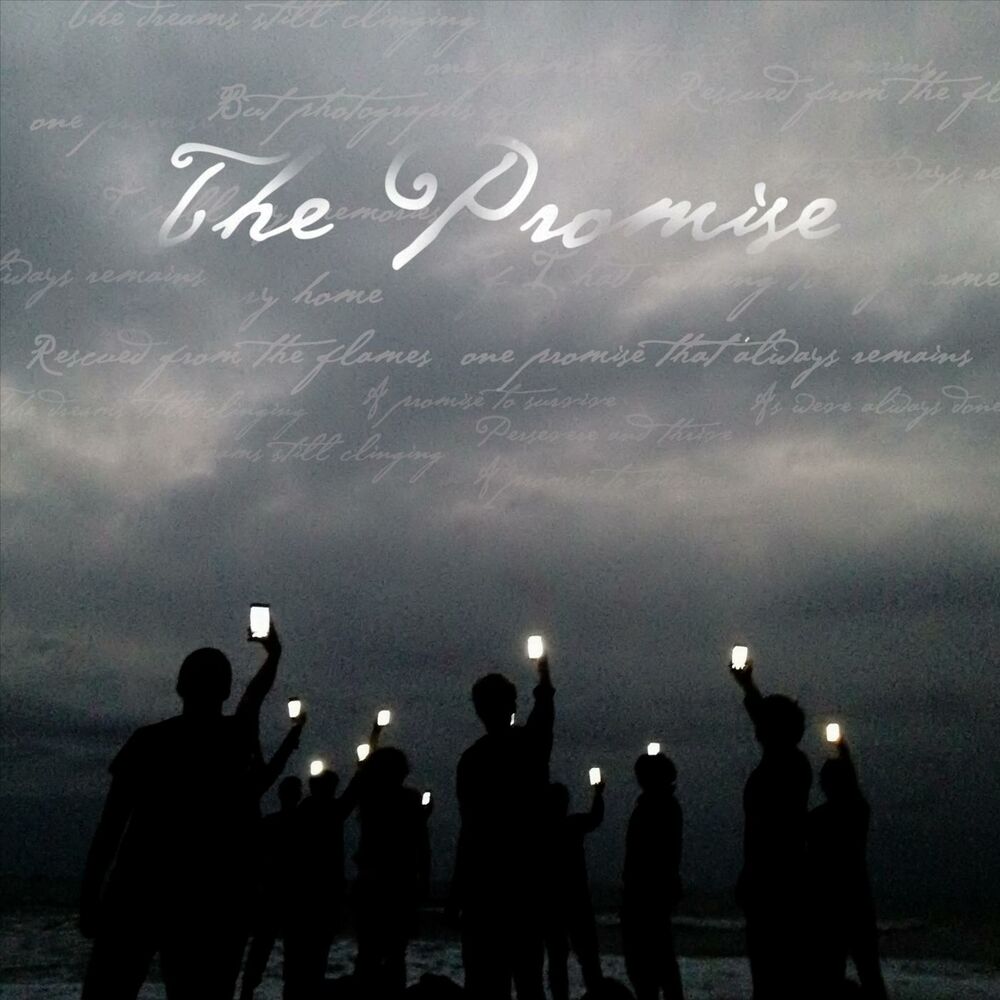Picture of The Promise