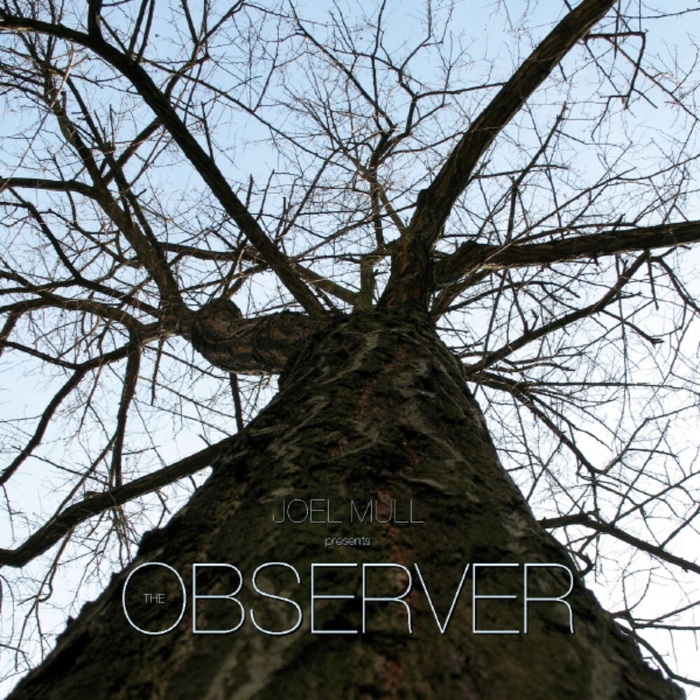 Picture of The Observer