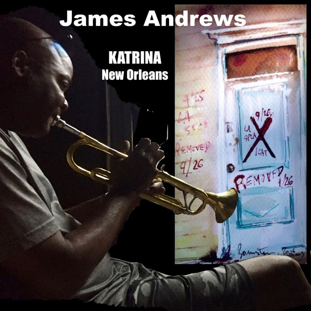Album cover of Katrina New Orleans