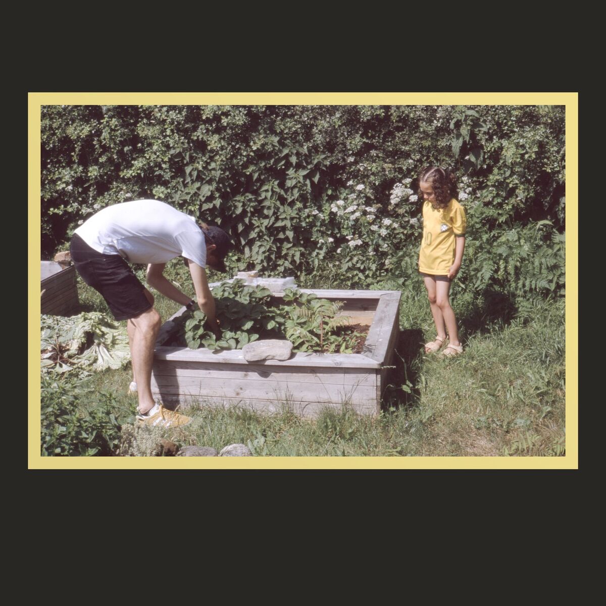 Album cover of Haven