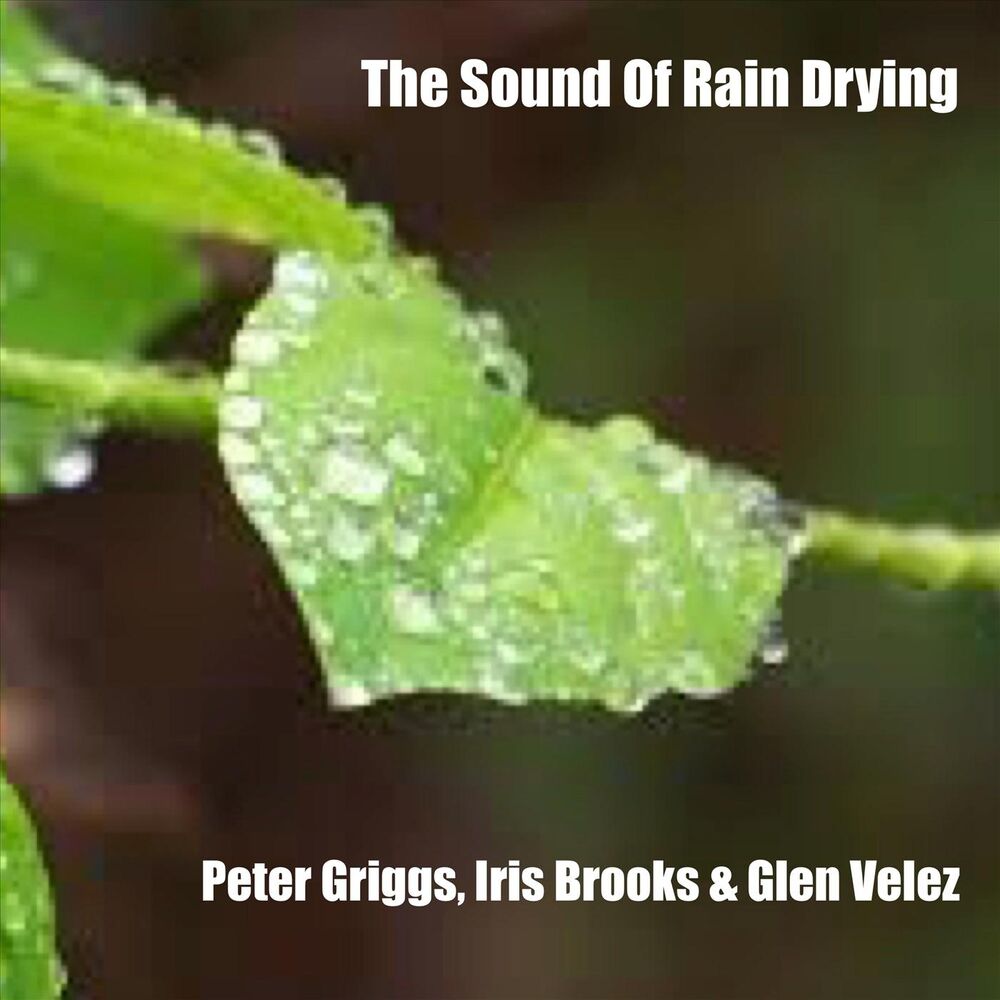 Picture of The Sound of Rain Drying
