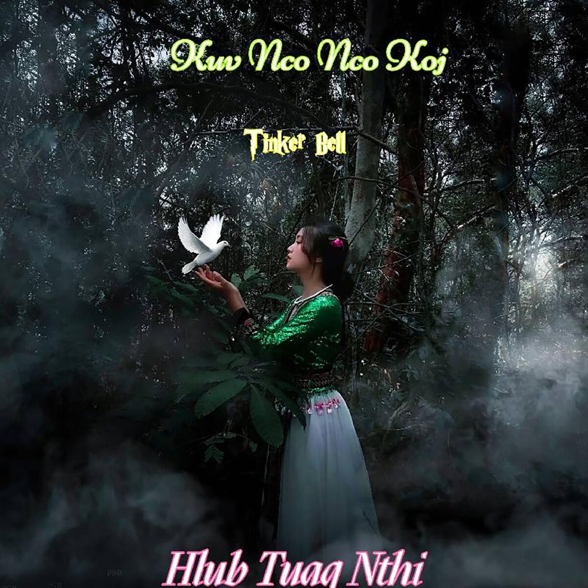 Album cover of Kuv Nco Nco (Hlub Tuag Nthi)