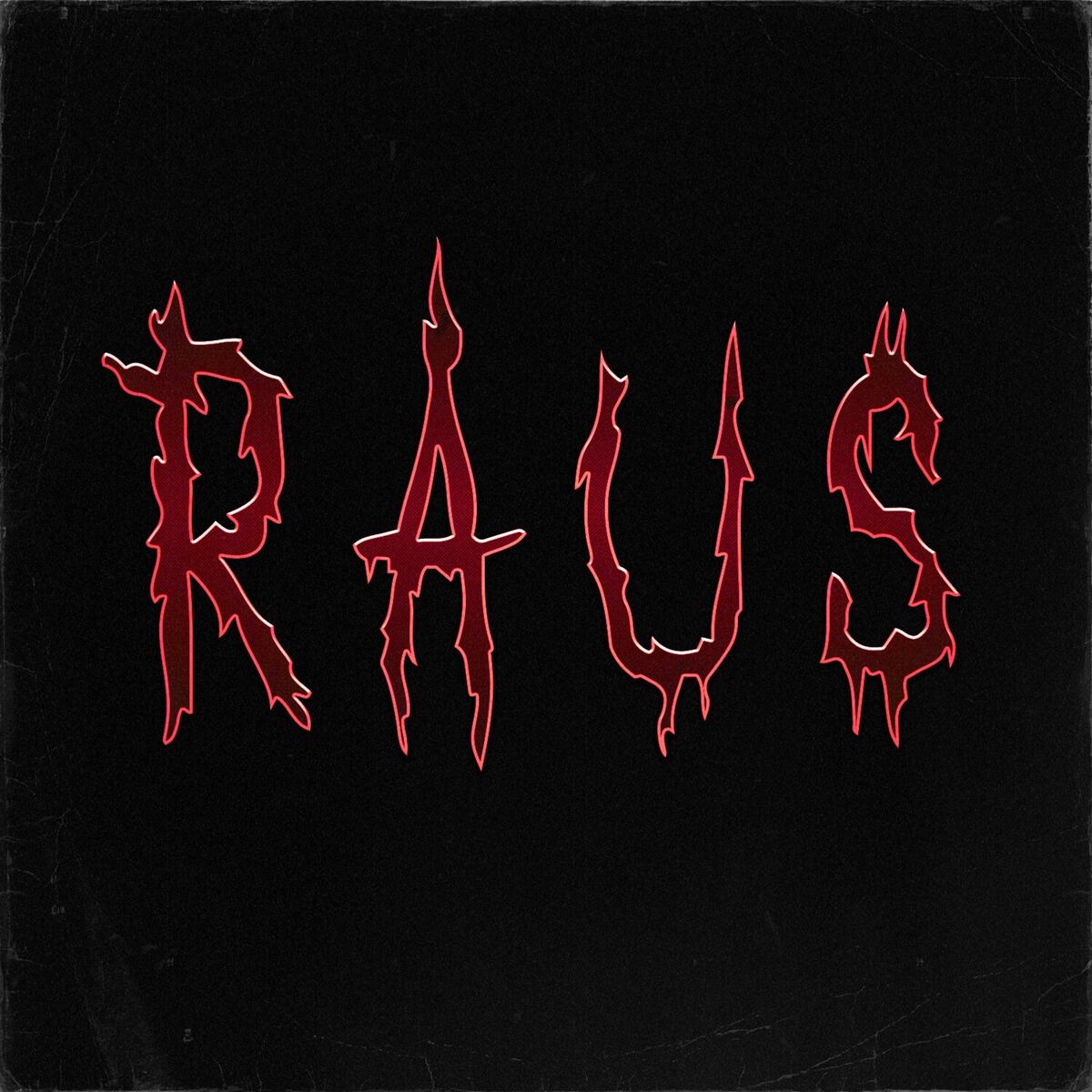 Album cover of RAUS