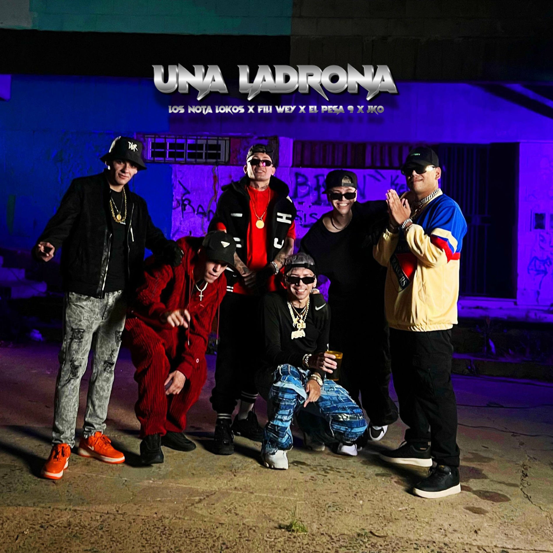 Album cover of Una Ladrona