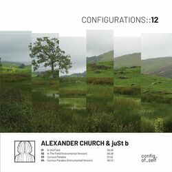 Cover of Configurations 12