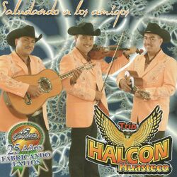 Cover of Saludando a Los Amigos