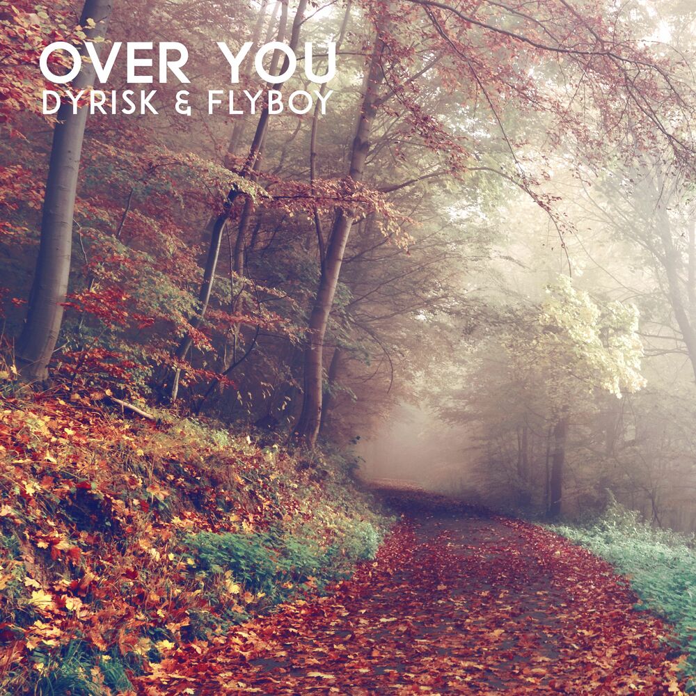 Picture of Over You