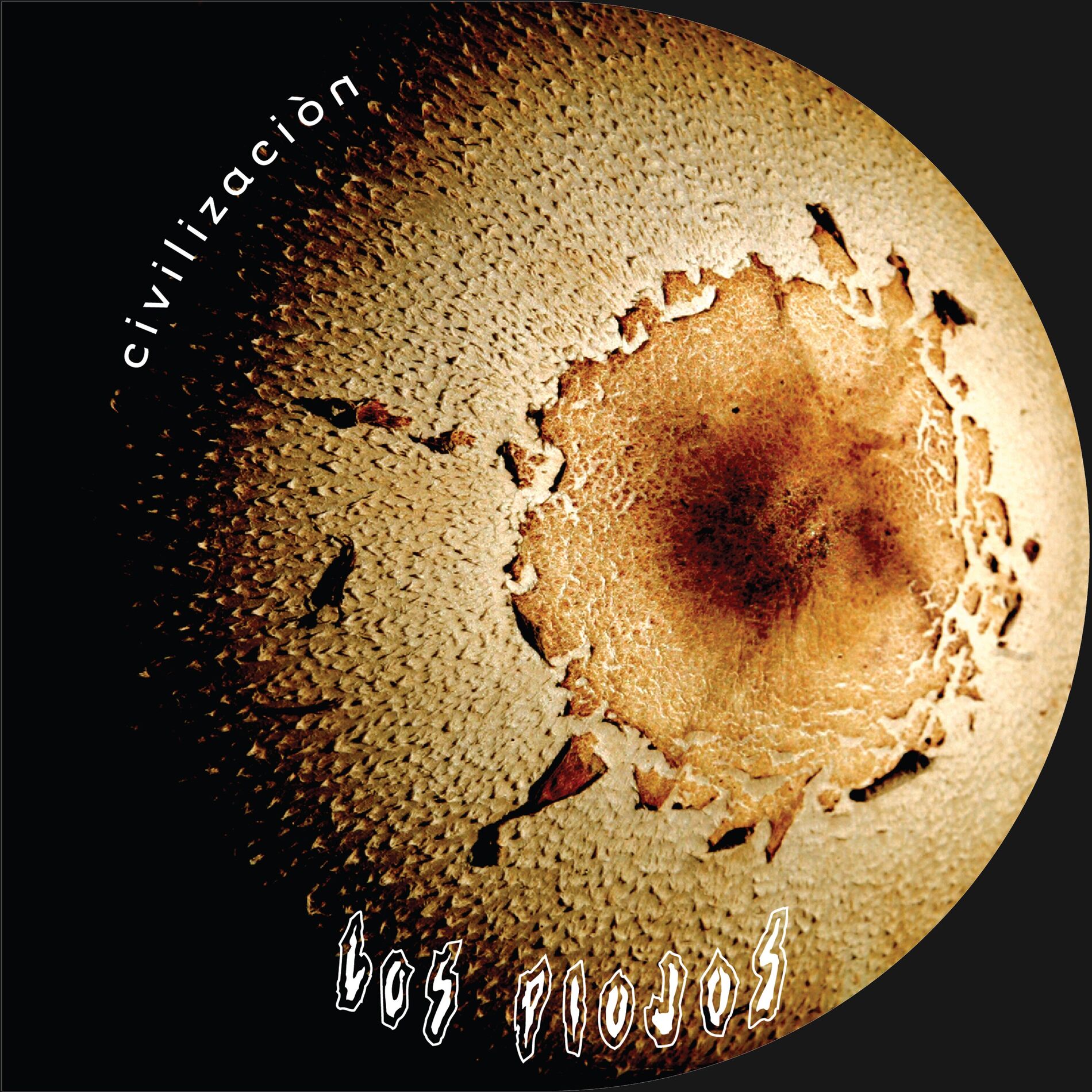 Album cover of Bicho de Ciudad