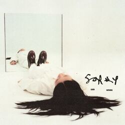 Cover of Sorry