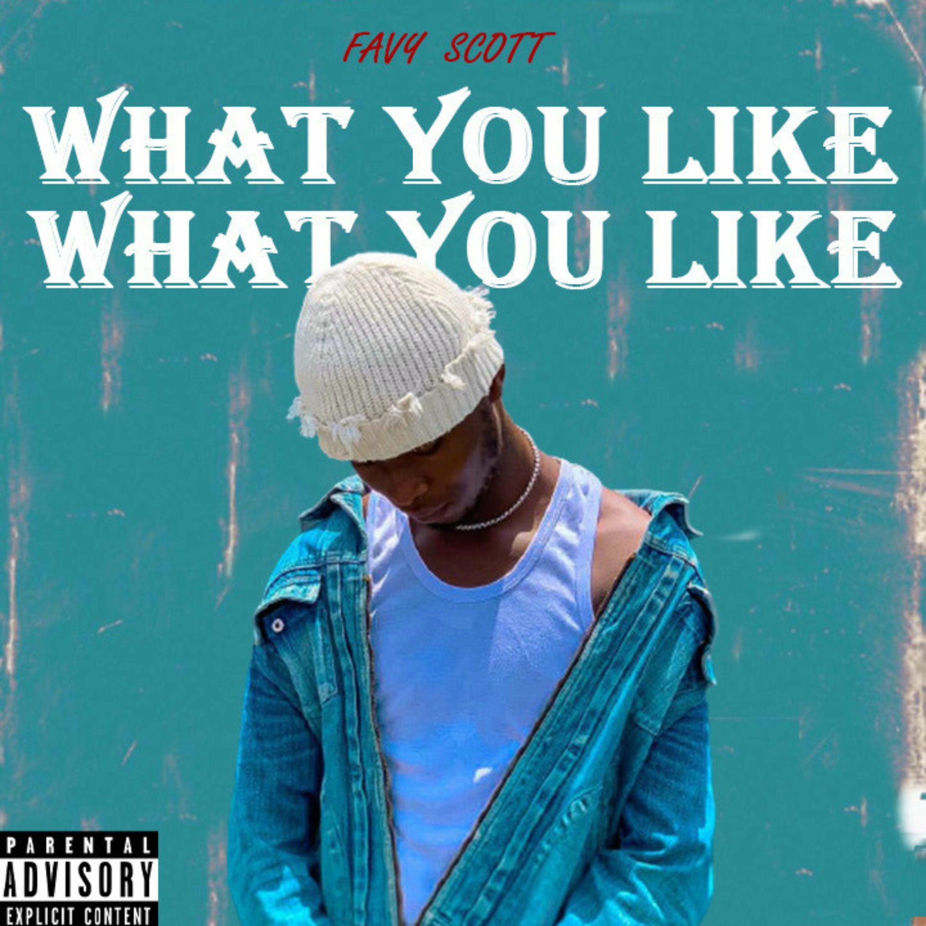 Album cover of What You Like