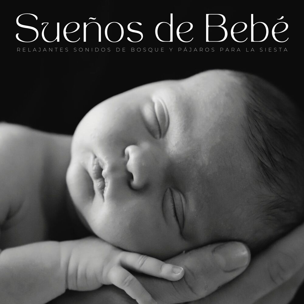 Picture of Sueños De Bebé: Relajantes Sonidos De Bosque Y Pájaros Para La Siesta