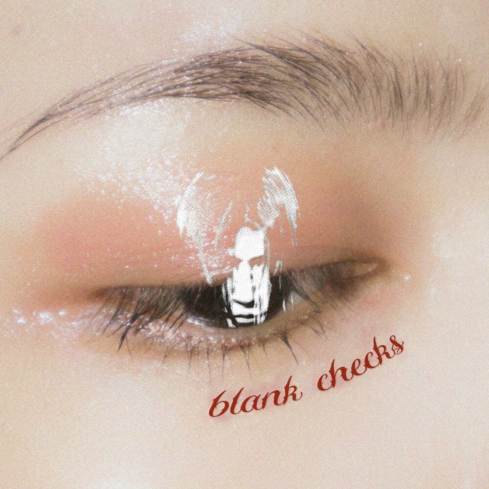 Picture of Blank Checks