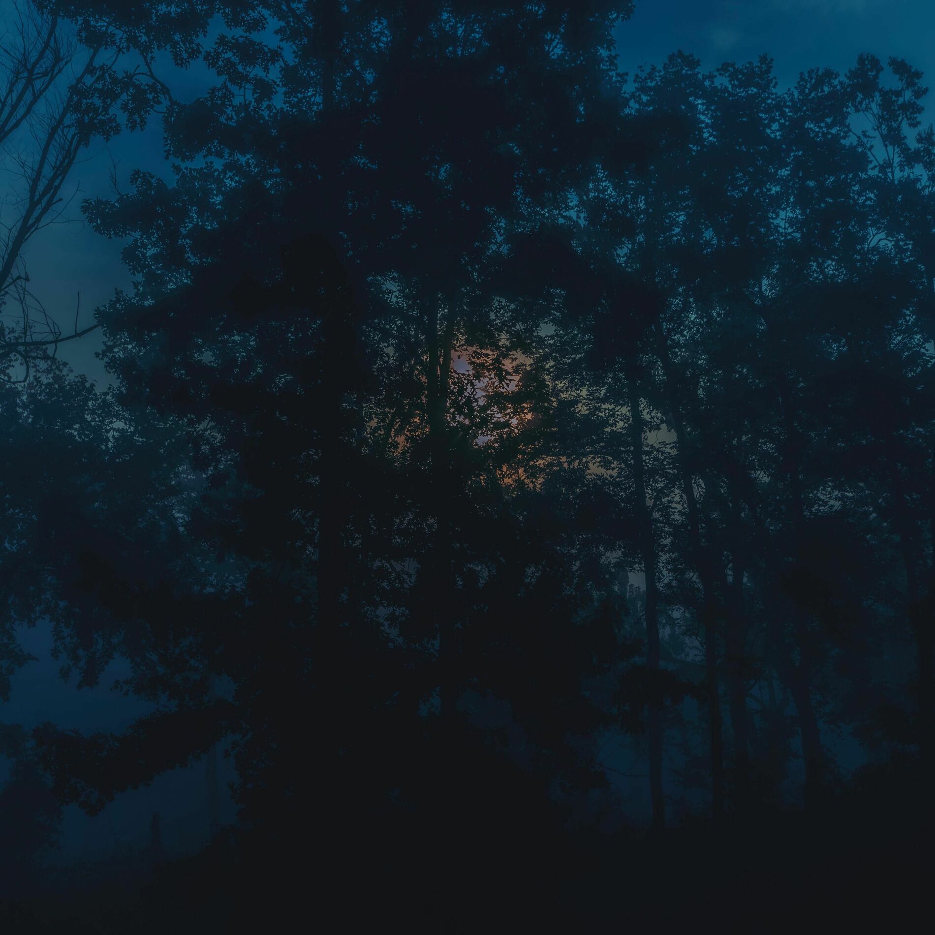 Album cover of DREAM