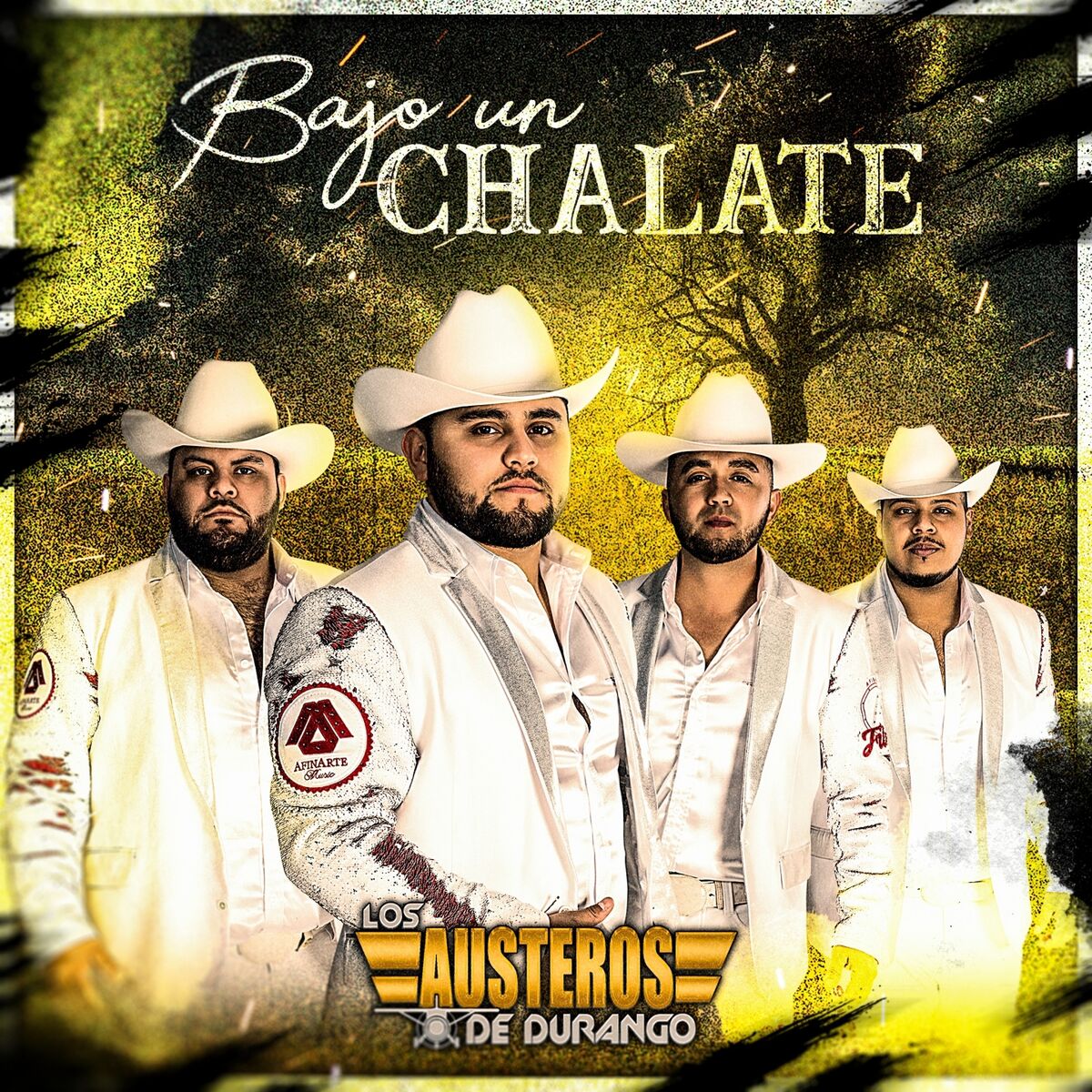 Album cover of Bajo Un Chalate