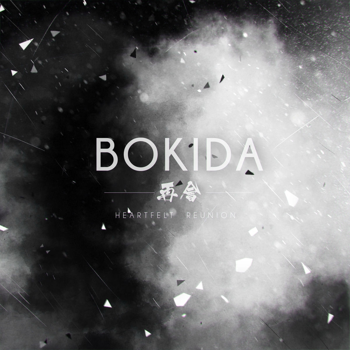 Album cover of Bokida: Heartfelt Reunion (Soundtrack)