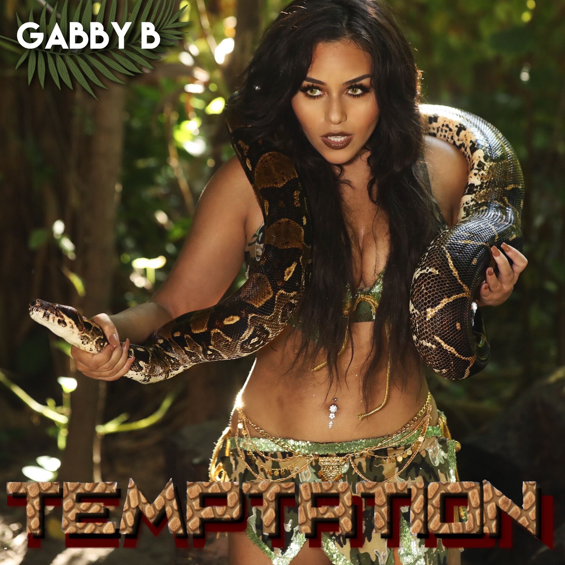 Album cover of Temptation